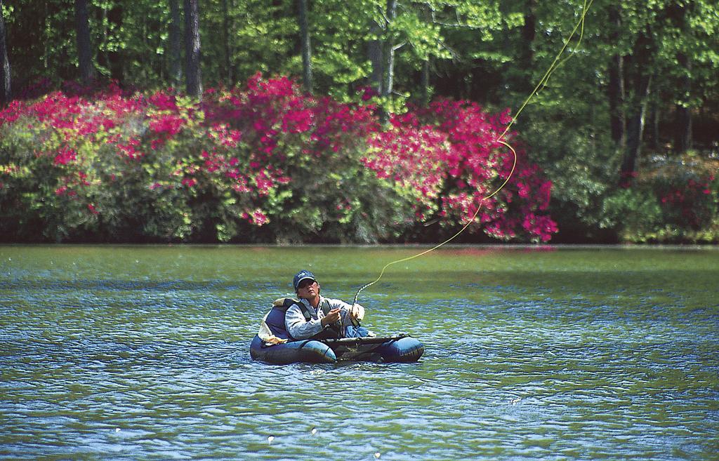 Callaway Resort & Gardens Пайн Маунтин Екстериор снимка