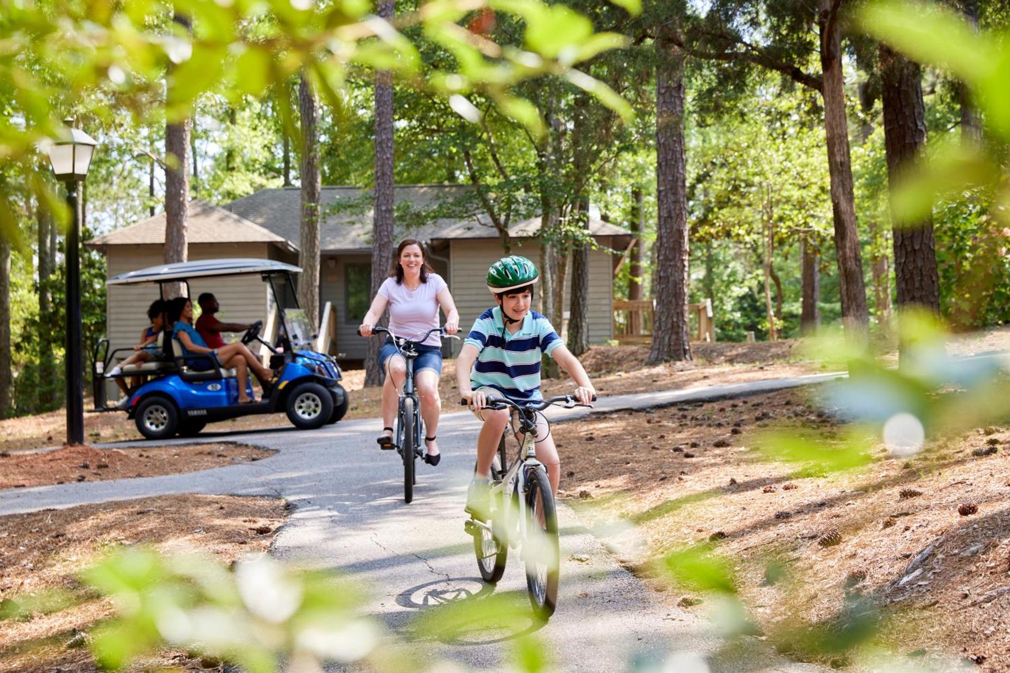 Callaway Resort & Gardens Пайн Маунтин Екстериор снимка